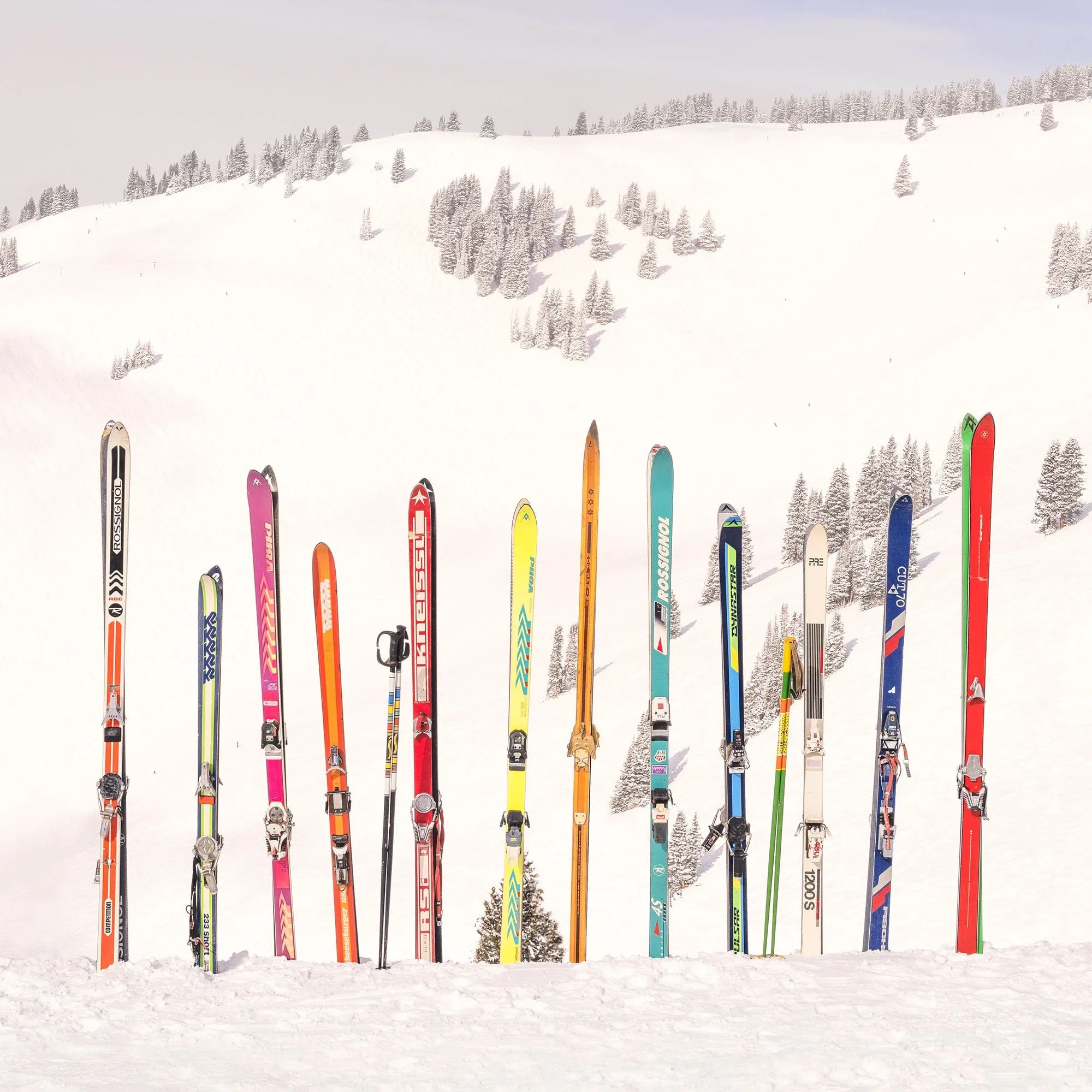 Back Bowls Skis | Gray Malin