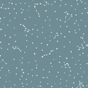 Constellation in Blue - The Great Outdoors Collection