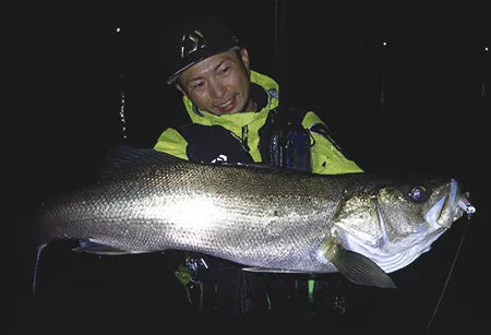 Daiwa 19 Morethan Branzino 97ML/M