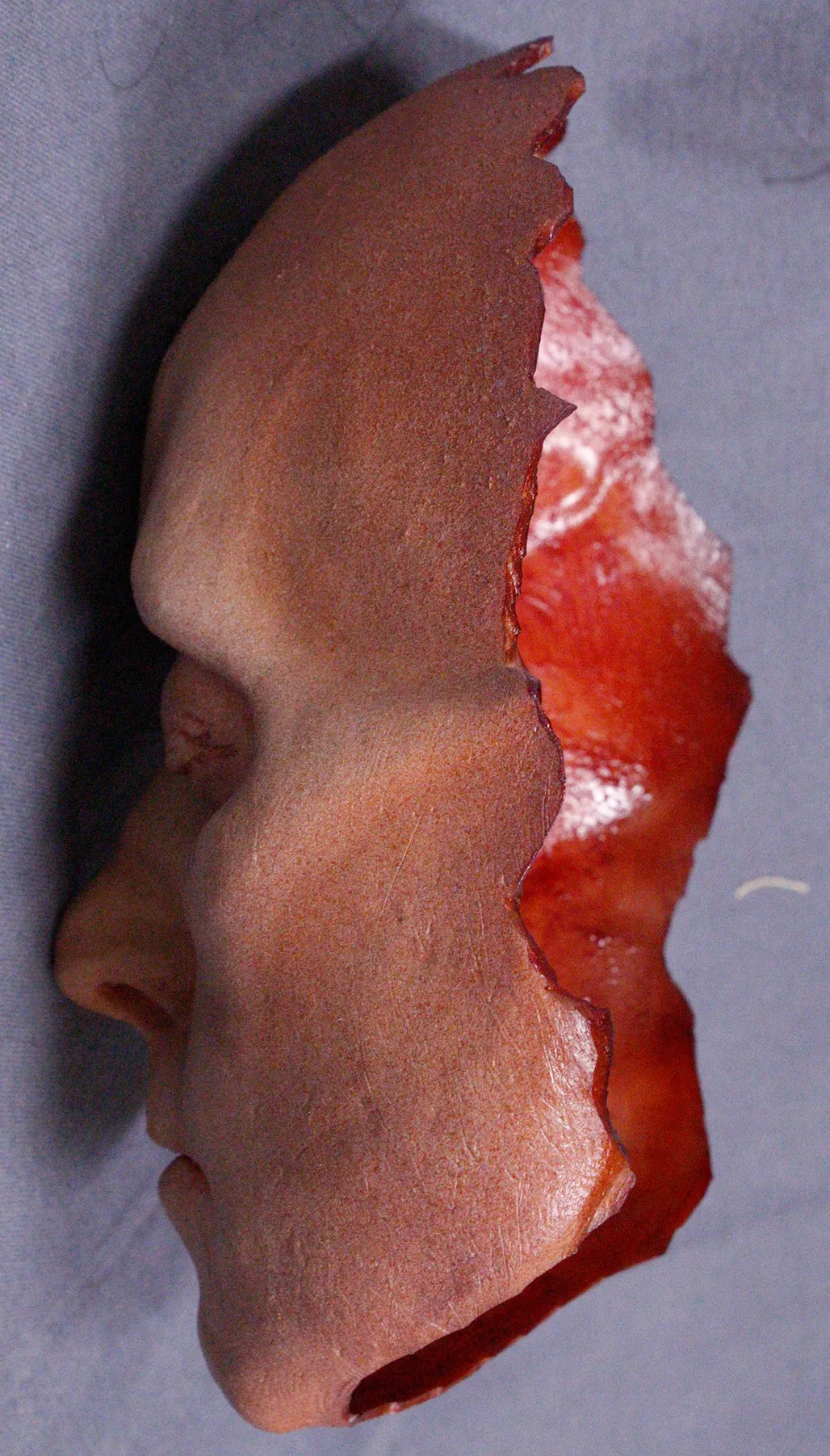 Dura Morgan Peeled Face Skin