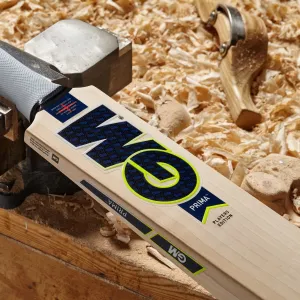 Gunn & Moore Dan Lawrence Players Edition Cricket Bat