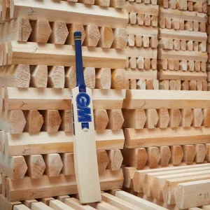 Gunn & Moore Stuart Broad Players Edition Cricket Bat