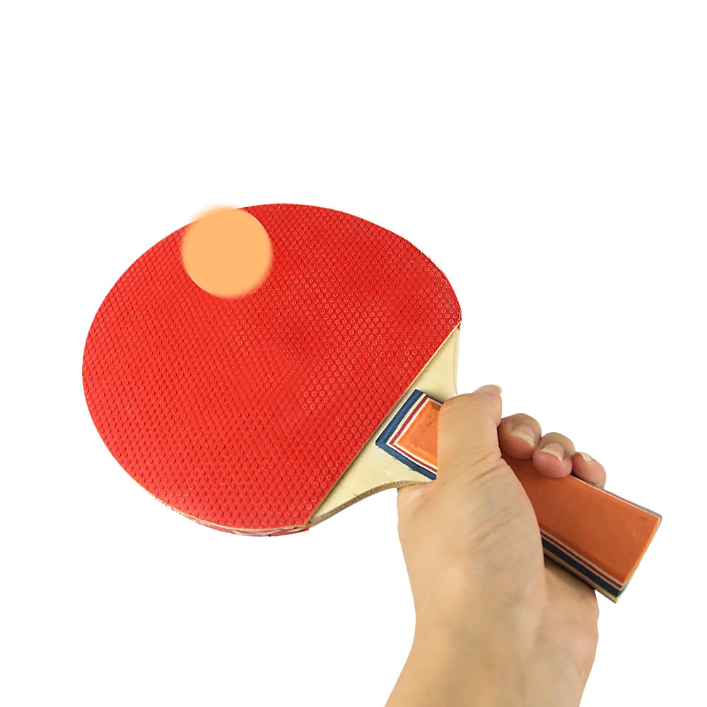 Portable Ping Pong Set with Net, Paddles, Balls