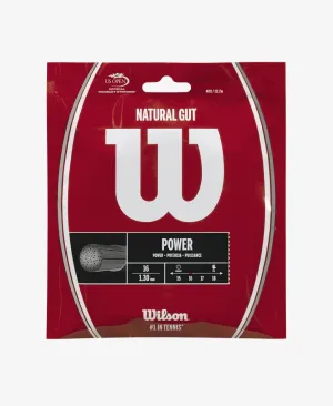 Wilson Natural Gut Power 16g Tennis 12 M String Set